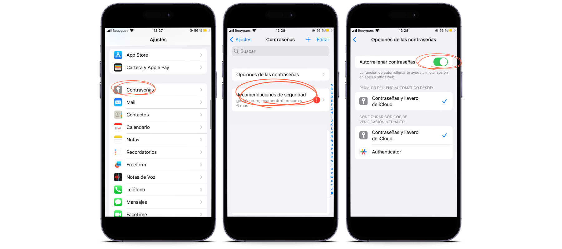 Procedimiento para activar la inserción automática de contraseñas